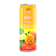 Coca Loca Zumo 100 % de Mango 320 ml
